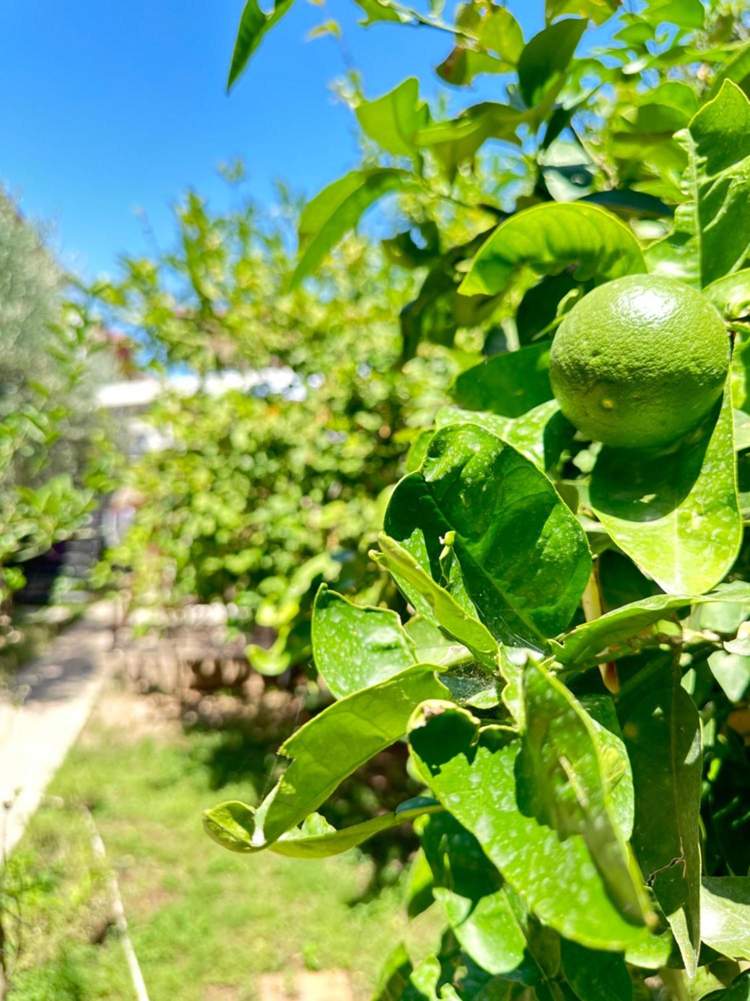 Kaleici Aparts Antalya Villa Kültér fotó